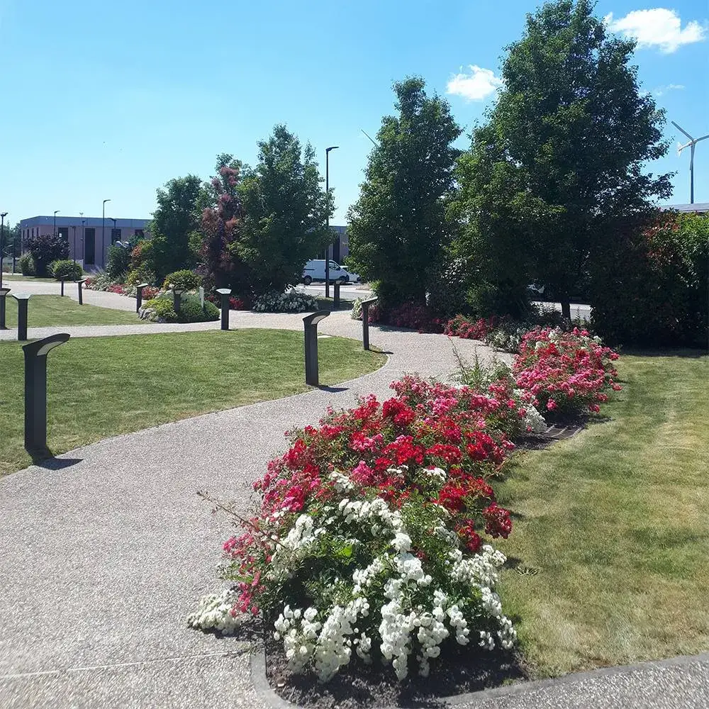 Entretien jardin